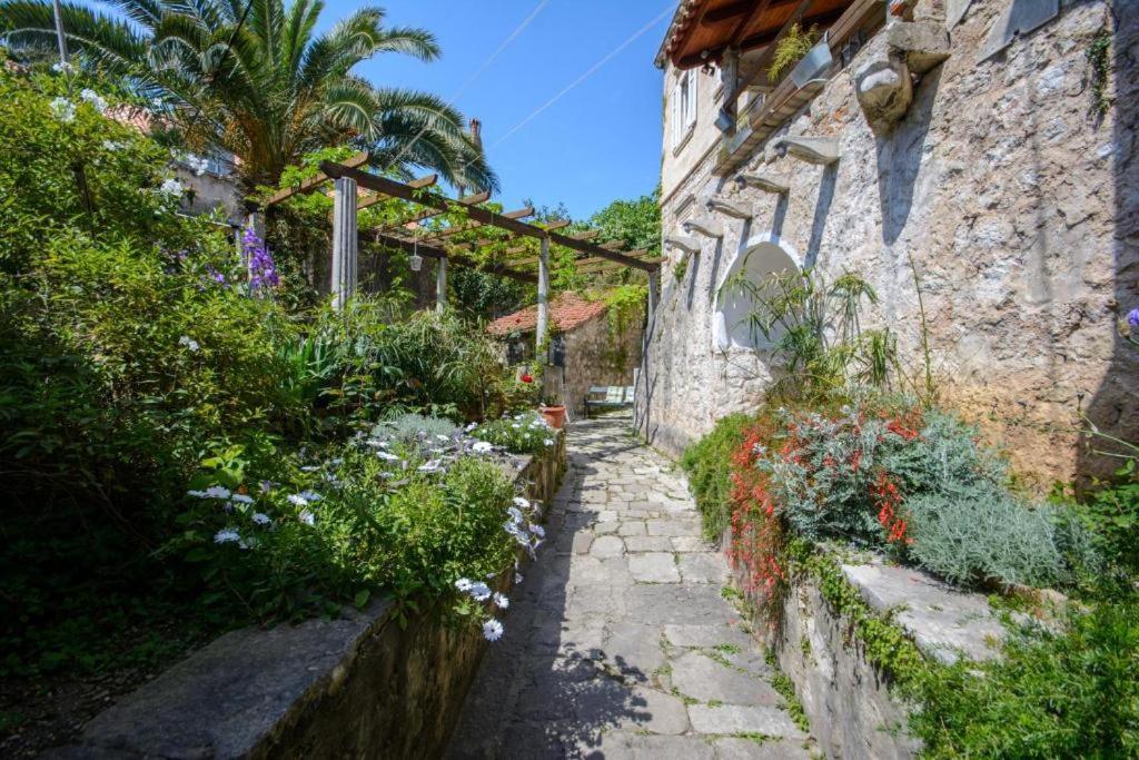 Stella City Center Accommodation Ντουμπρόβνικ Εξωτερικό φωτογραφία